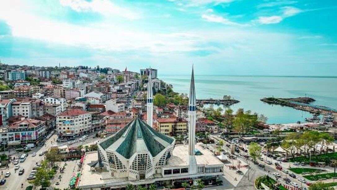 11142501 Indir