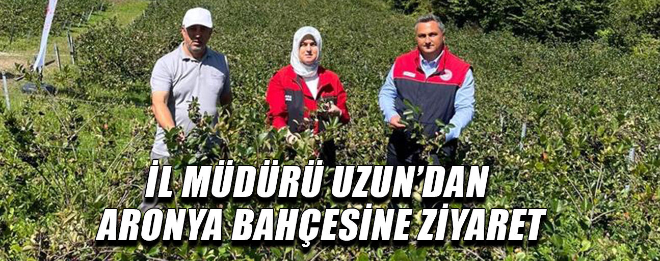 ARONYA BAHÇESİNDE, HASAT OLGUNLUĞUNA ULAŞAN ÜRÜNLER İNCELENDİ