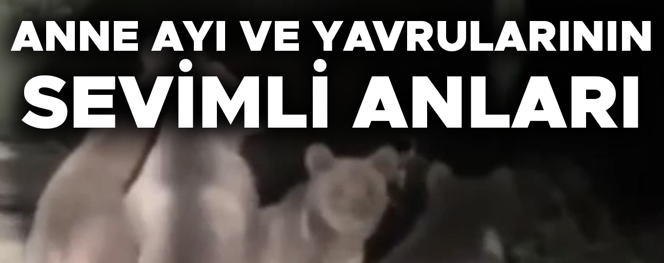 DÜZCE’DE AYI AİLESİ CEP TELEFONU İLE GÖRÜNTÜLENDİ
