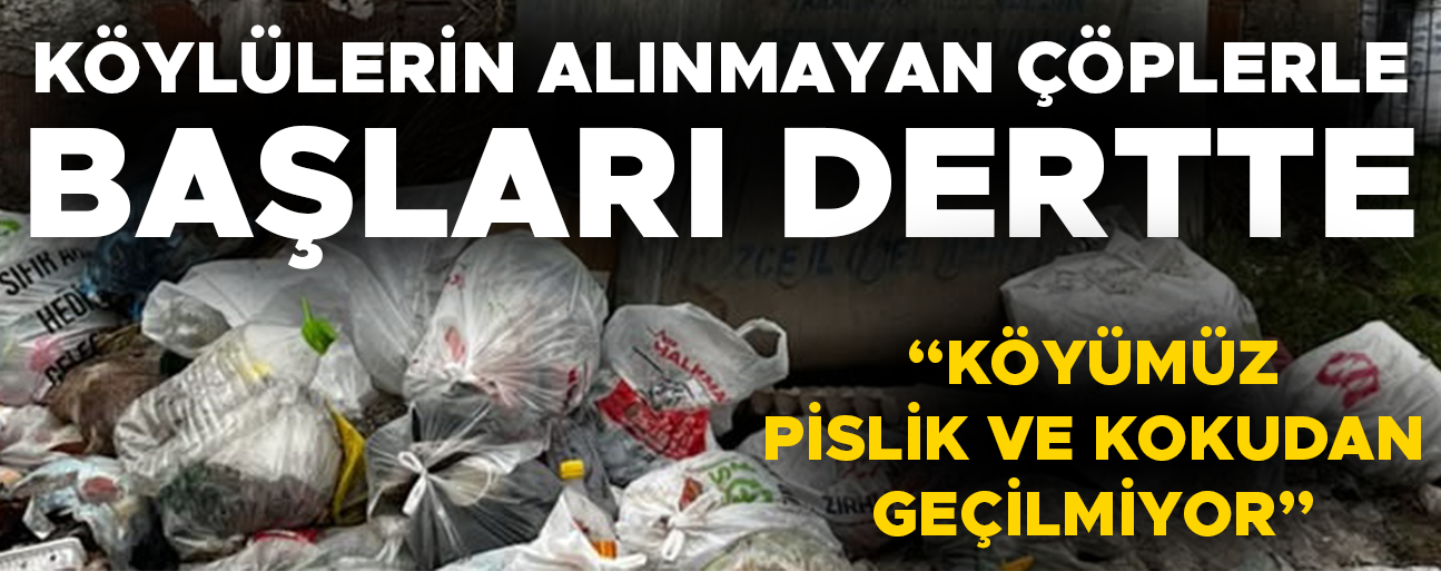 “KOSKOCA KÖYDE 3 TANE ÇÖP KONTEYNIRI VAR”