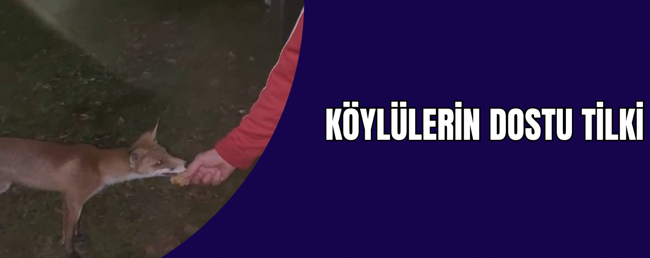 KEK İKRAMINI GERİ ÇEVİRMEDİ