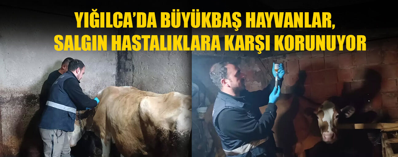 HAYVAN SAĞLIĞI PERSONELLERİ AŞILAMA GERÇEKLEŞTİRDİ