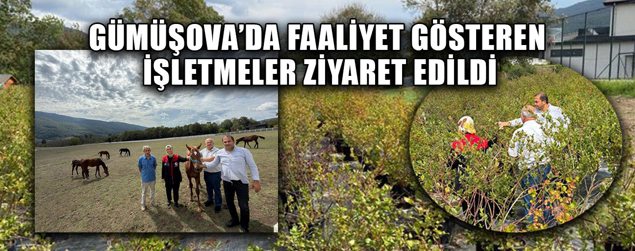 KIRSAL EKONOMİ GÜÇLENDİRİLECEK
