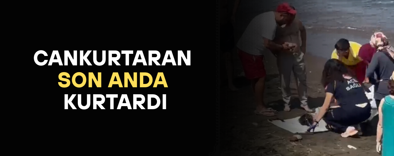 PLAJDA KISA SÜRELİ PANİĞE NEDEN OLDU