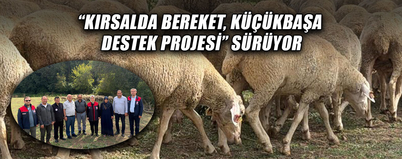 100 KÜÇÜKBAŞ HAYVAN TESLİM EDİLDİ