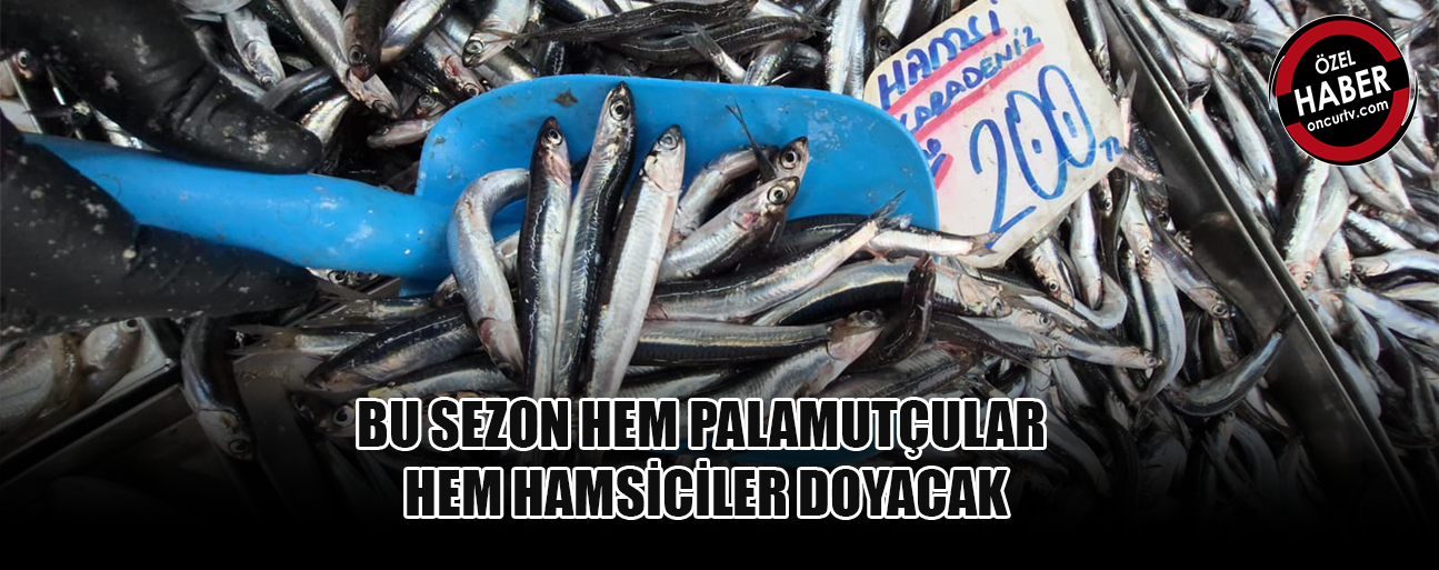 BALIK FİYATLARINI ZAMLAR DEĞİL DENİZDEN ÇIKIŞI BELİRLİYOR