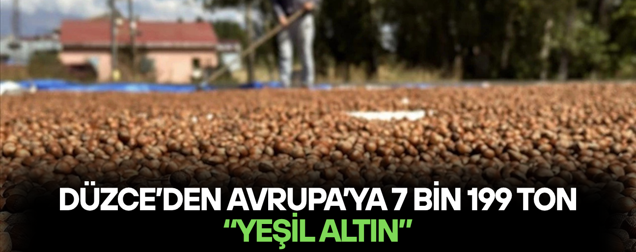 FINDIK İHRACATINDA AVRUPA BEREKETİ