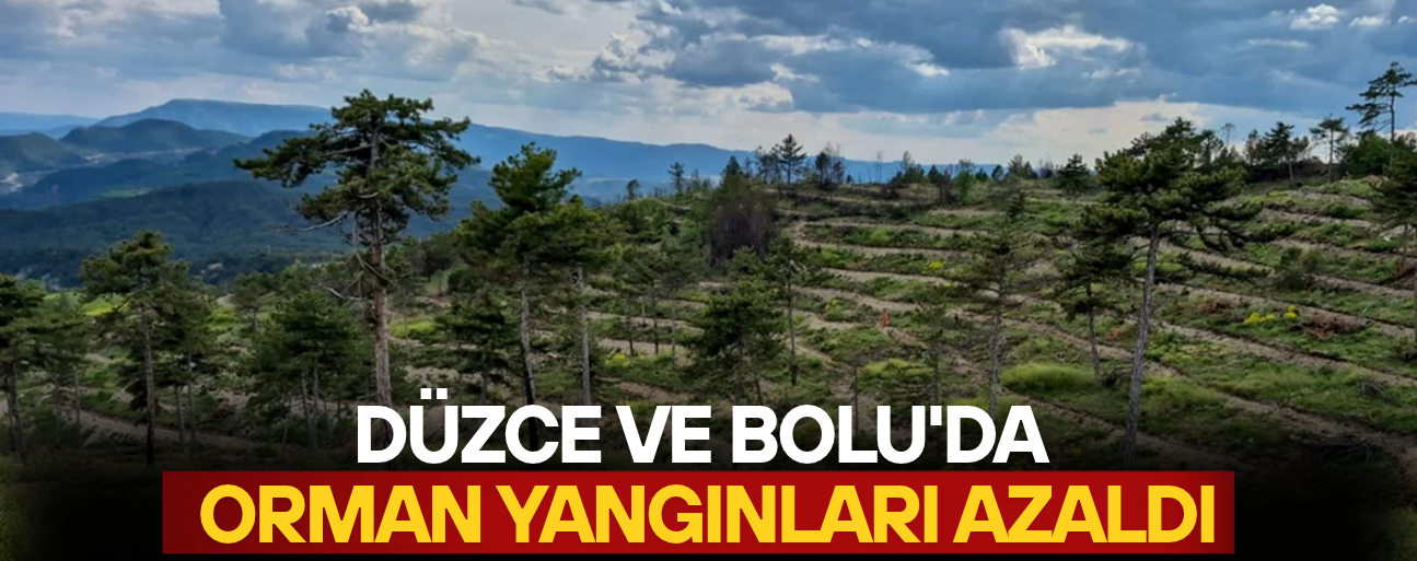 ZARAR GÖREN ALANLARIN 1553 HEKTARI AĞAÇLANDIRILDI