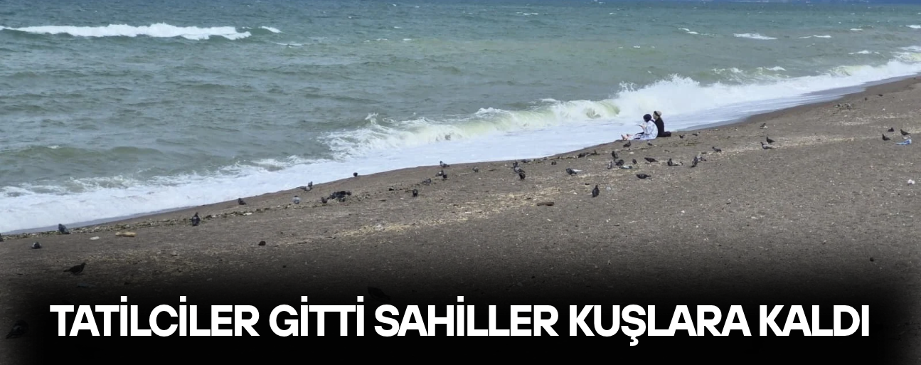 SAHİLLERDE GÜVERCİN VE MARTI YOĞUNLUĞU BAŞLADI