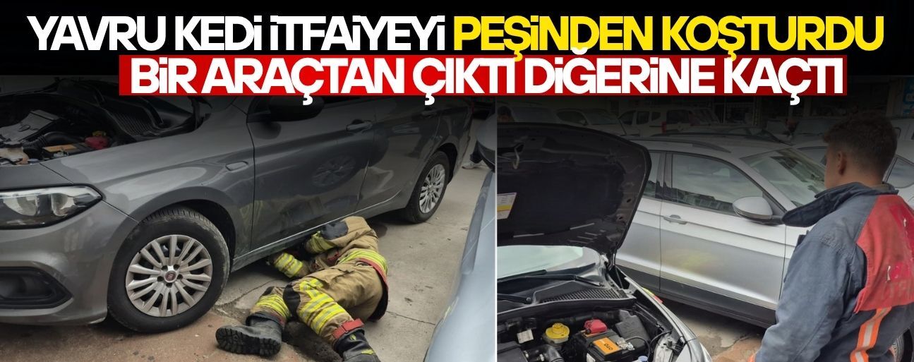 DÜZCE İTFAİYESİ YAVRU KEDİNİN PEŞİNDE SEFERBER OLDU