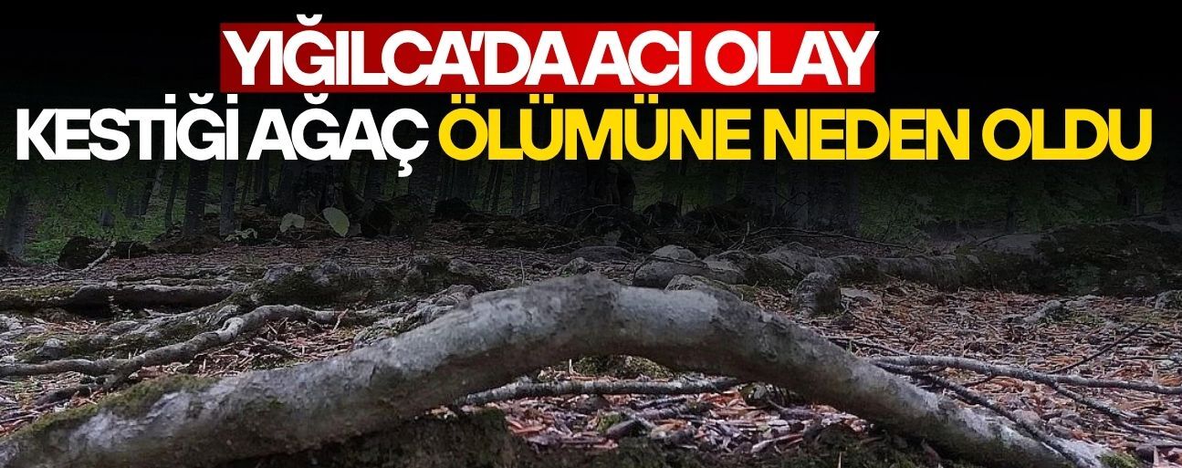 DÜZCE’DE ÜZERİNE AĞAÇ DEVRİLEN ŞAHIS HAYATINI KAYBETTİ