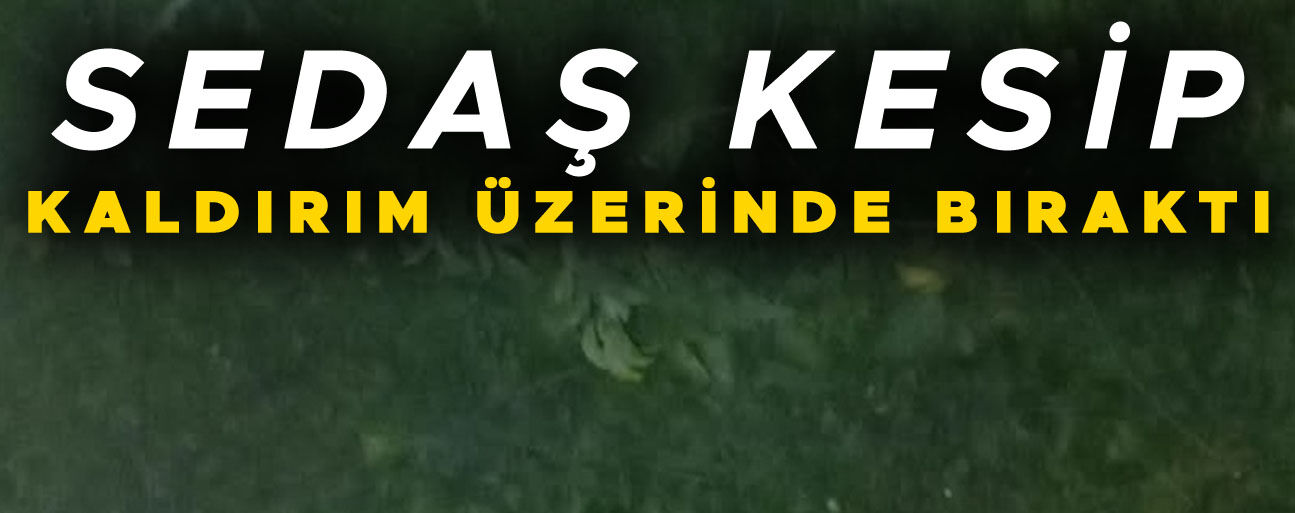 YAYALAR KALDIRIM YERİNE YOLDA YÜRÜMEK ZORUNDA KALDI