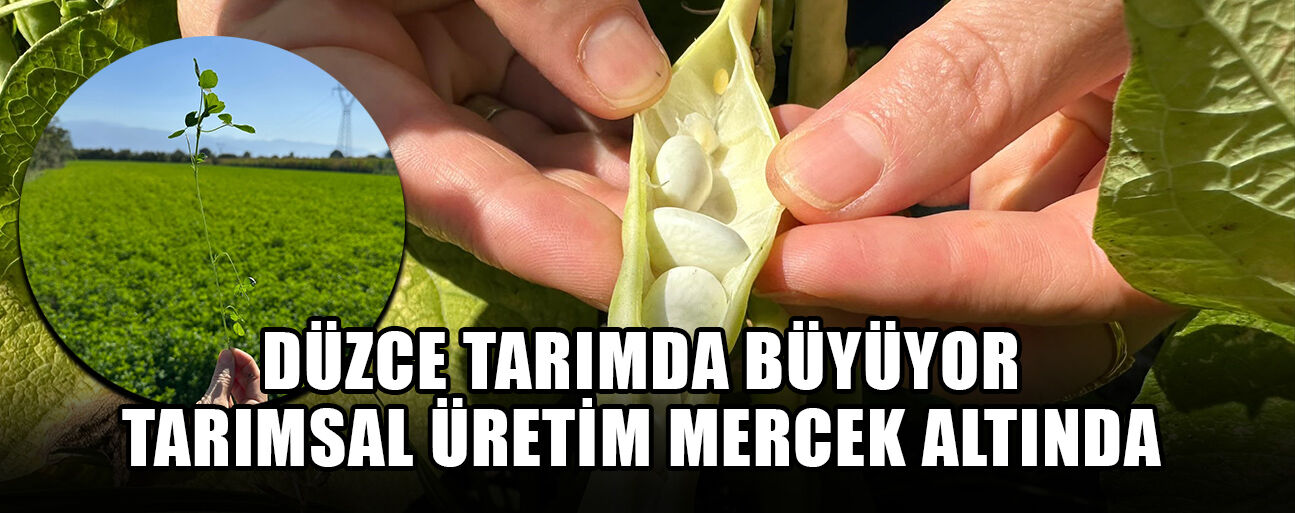 TARIMSAL ÜRETİM MERCEK ALTINDA