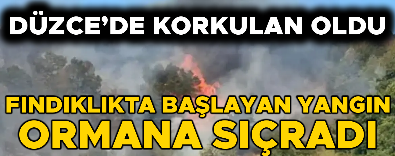 TÜM EKİPLER SEFERBER EDİLDİ…