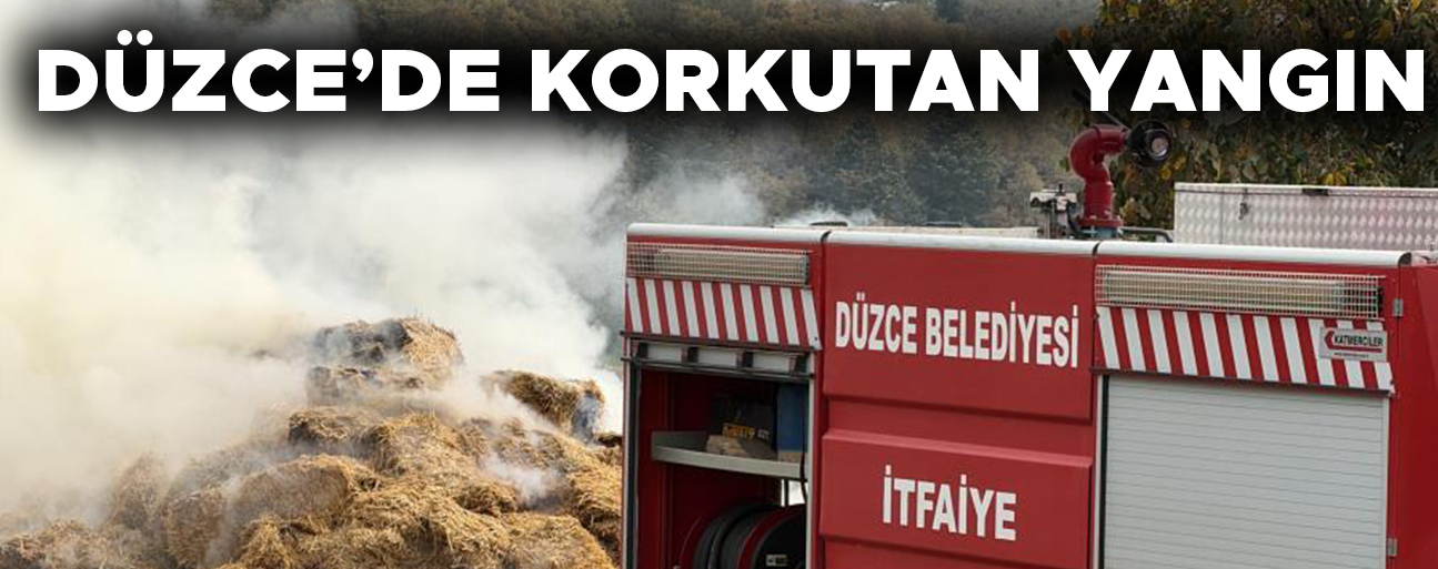 BESİ ÇİFTLİĞİ ALEVLERE TESLİM OLDU