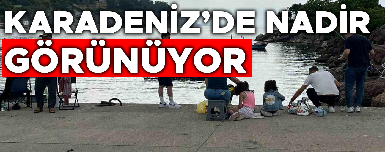 AKÇAKOCA’DA BALIKÇILARIN OLTASINA BAKIN NE TAKILDI?