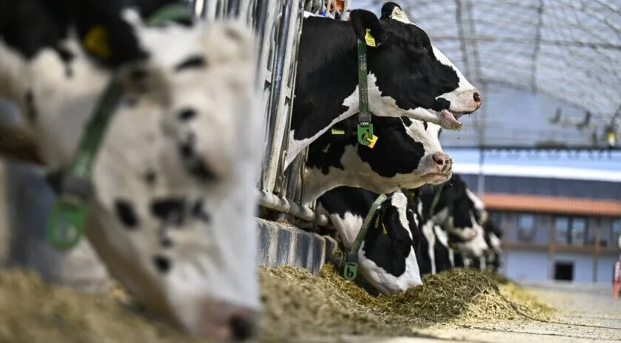 1-1574