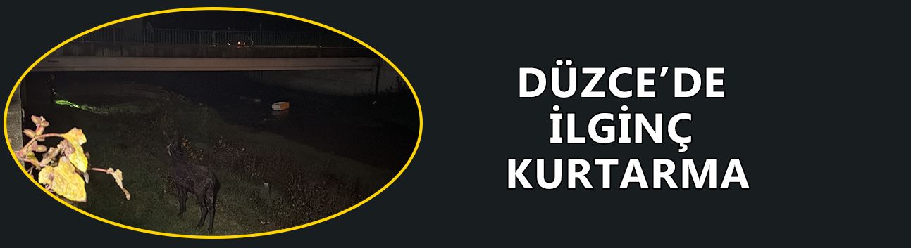 ASAR DERESİ’NE DÜŞEN EŞEĞİN SAHİBİNE SEVGİSİ GÜLÜMSETTİ