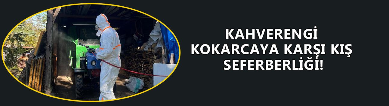 KAHVERENGİ KOKARCAYA KARŞI KIŞ SEFERBERLİĞİ!