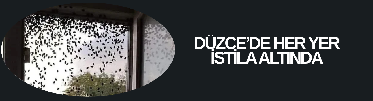 MÜCADELE ÇALIŞMALARI DÖRT KOLDAN SÜRÜYOR