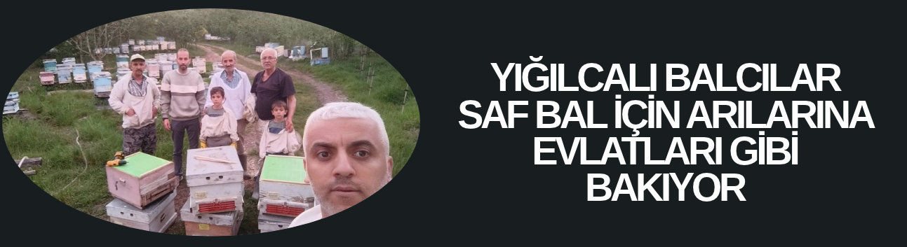 YIĞILCALI BALCILAR SAF BAL İÇİN ARILARINA EVLATLARI GİBİ BAKIYOR