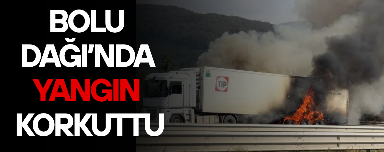 TIR ALEVLERE TESLİM OLDU