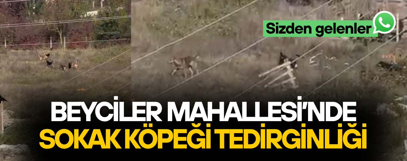 “ÇOCUKLARA VE KADINLARA SALDIRIYORLAR”