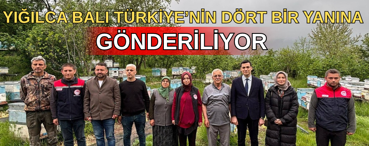YIĞILCALI BALCILAR SAF BAL İÇİN ARILARINA EVLATLARI GİBİ BAKIYOR