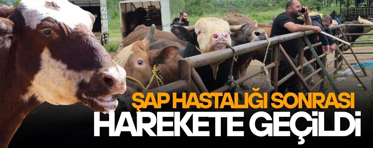 DÜZCE HAYVAN PAZARI TEDBİR AMAÇLI KAPANDI