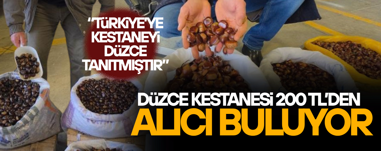 DÜZCE'NİN COĞRAFİ İŞARETLİ KUZU KESTANESİ TEZGAHLARDAKİ YERİNİ ALDI