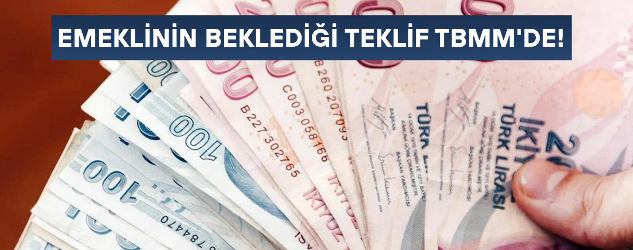 KABUL EDİLİRSE HER AY 25 BİN TL ALACAKLAR