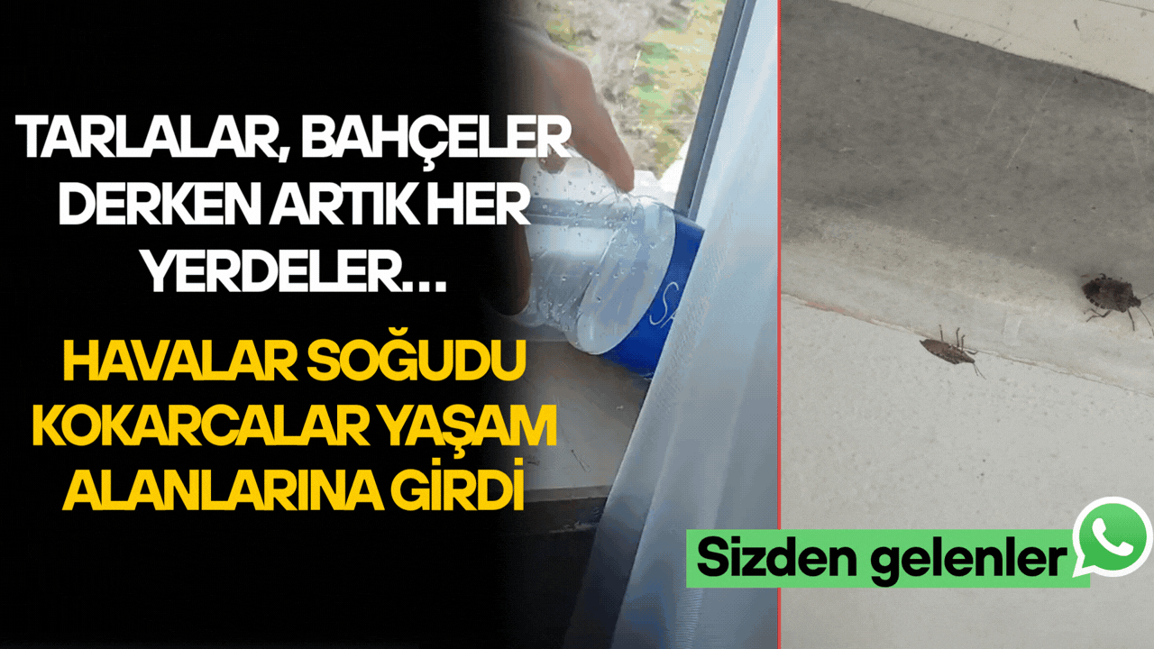 GÜMÜŞOVA VE AKÇAKOCA’DA ZARARLIYA KARŞI VATANDAŞLARDAN ÇAĞRI
