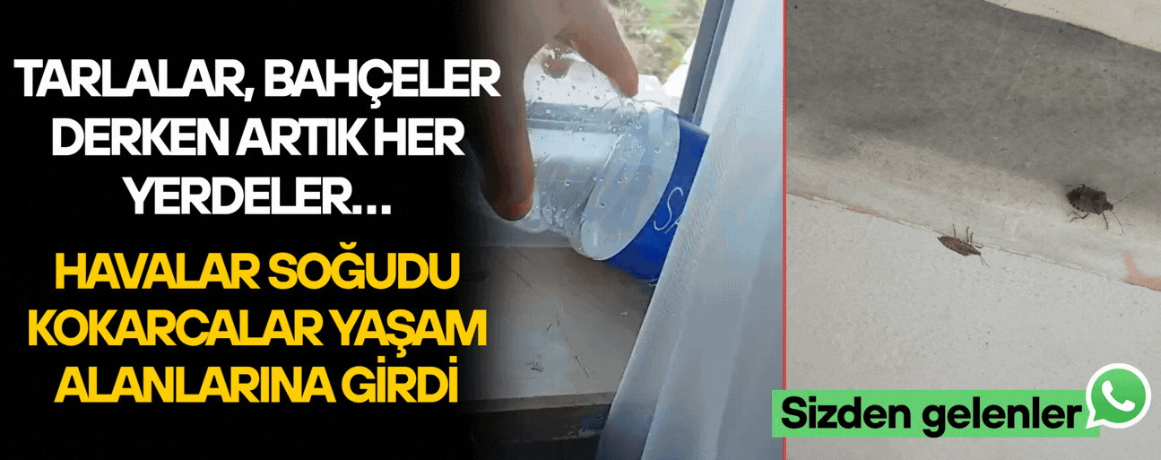 GÜMÜŞOVA VE AKÇAKOCA’DA ZARARLIYA KARŞI VATANDAŞLARDAN ÇAĞRI