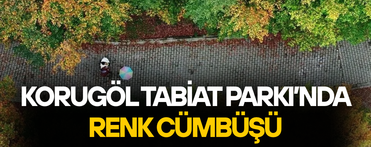 DOĞA HARİKASI PARK ZİYARETÇİLERİNİ SONBAHAR MANZARASIYLA AĞIRLIYOR