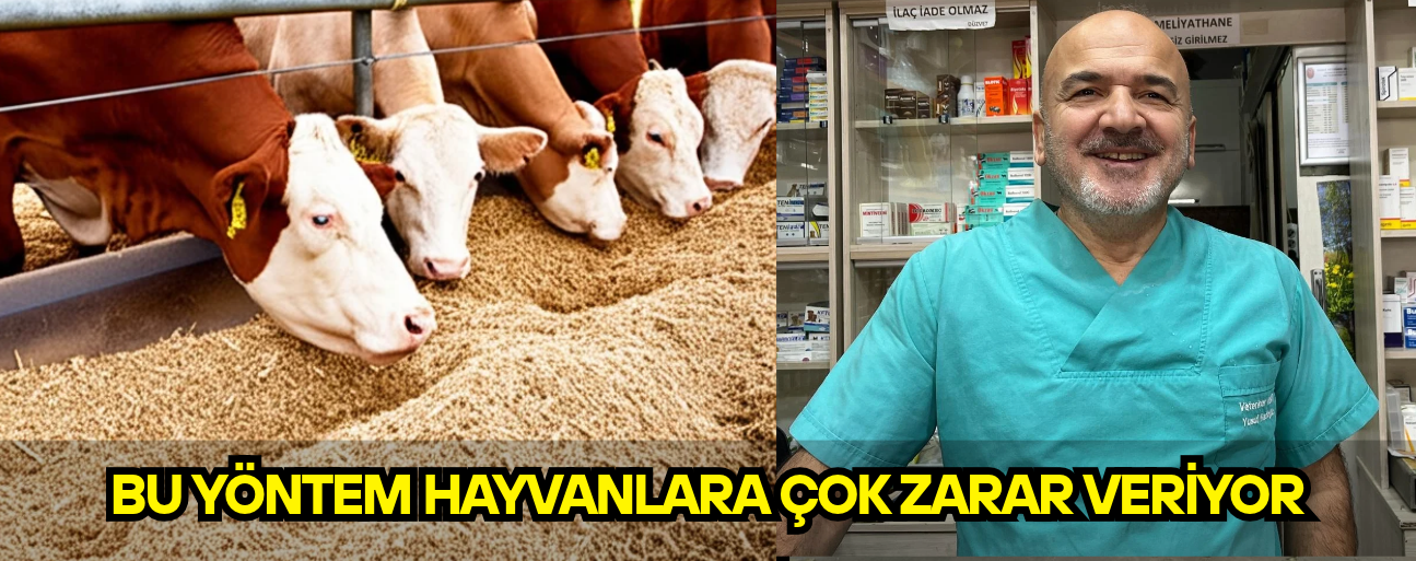 SİLAJ KULLANIMINDA UZMANINDAN ÖNEMLİ UYARILAR