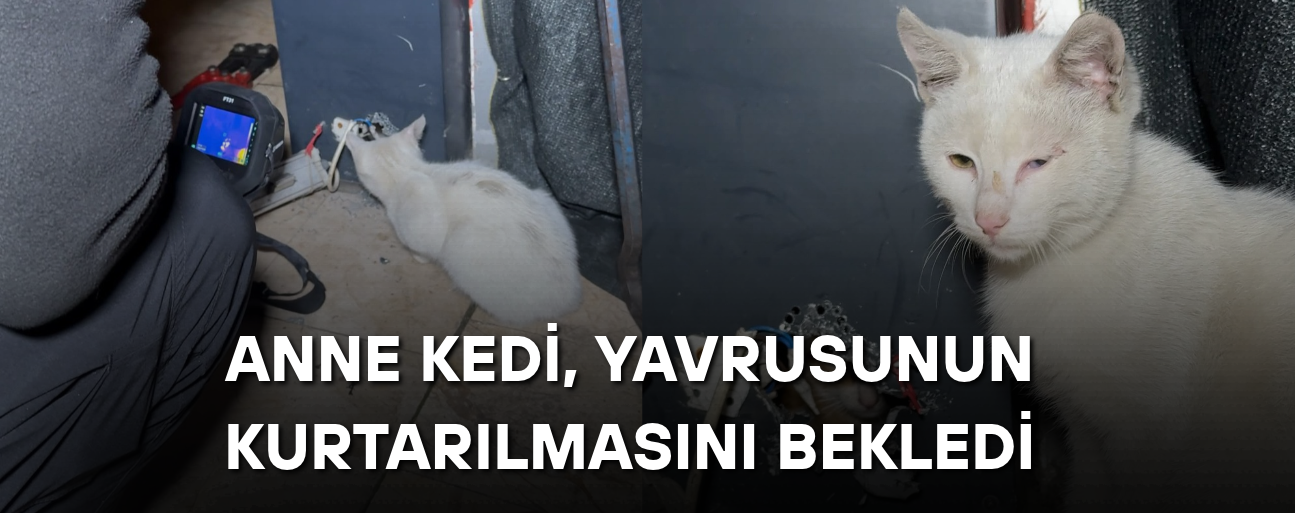 KEDİ YAVRUSUNU İTFAİYE ERLERİ KURTARDI