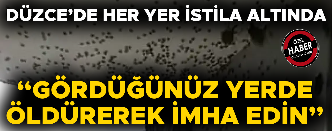 MÜCADELE ÇALIŞMALARI DÖRT KOLDAN SÜRÜYOR