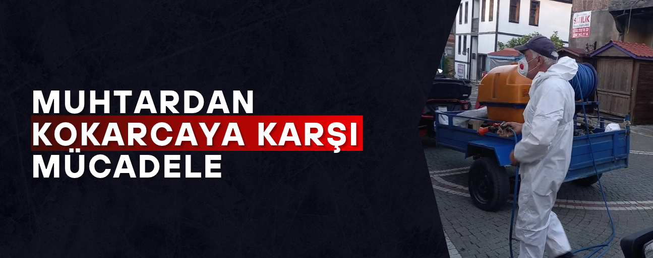 MAHALLE SOKAKLARINDA İLAÇLAMA YAPTI