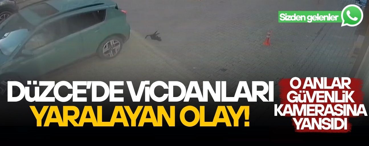 KEDİYİ TELEF ETTİ, ARKASINA BAKMADAN GİTTİ