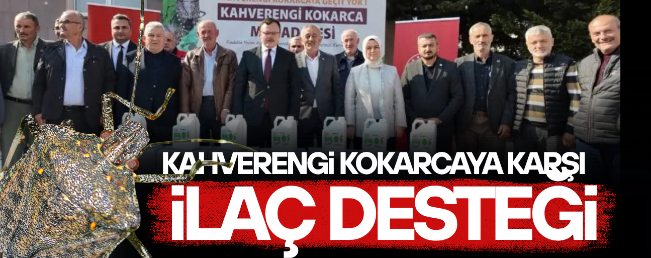 DÜZCE’DE KAHVERENGİ KOKARCA ZARARLISIYLA MÜCADELE DEVAM EDİYOR