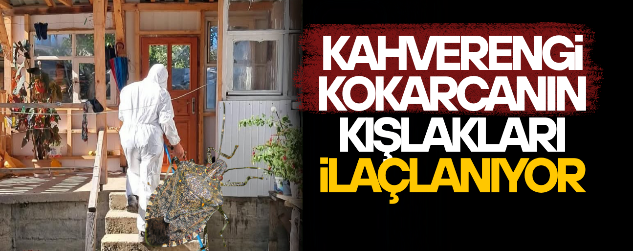 KAHVERENGİ KOKARCAYA KARŞI KIŞ SEFERBERLİĞİ!