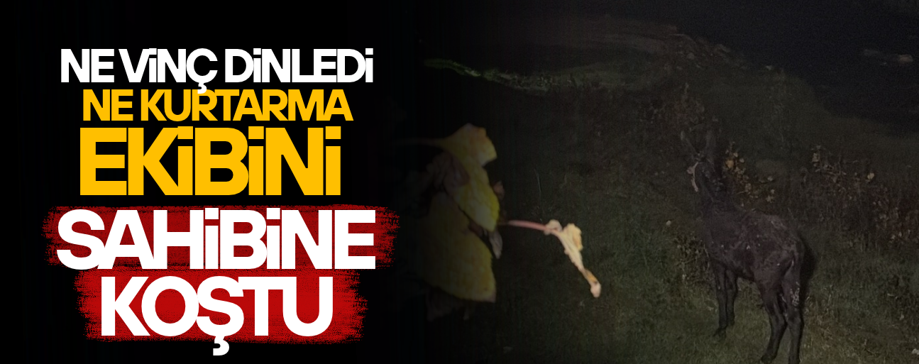 ASAR DERESİ’NE DÜŞEN EŞEĞİN SAHİBİNE SEVGİSİ GÜLÜMSETTİ