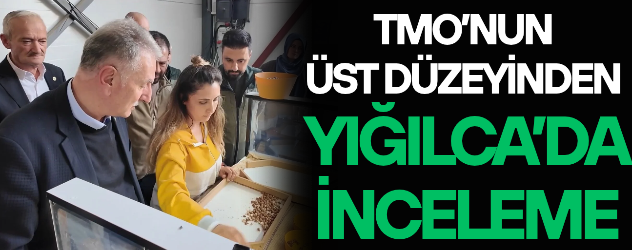 TMO GENEL MÜDÜRÜ GÜLDAL FINDIK ALIM NOKTASINI ZİYARET ETTİ