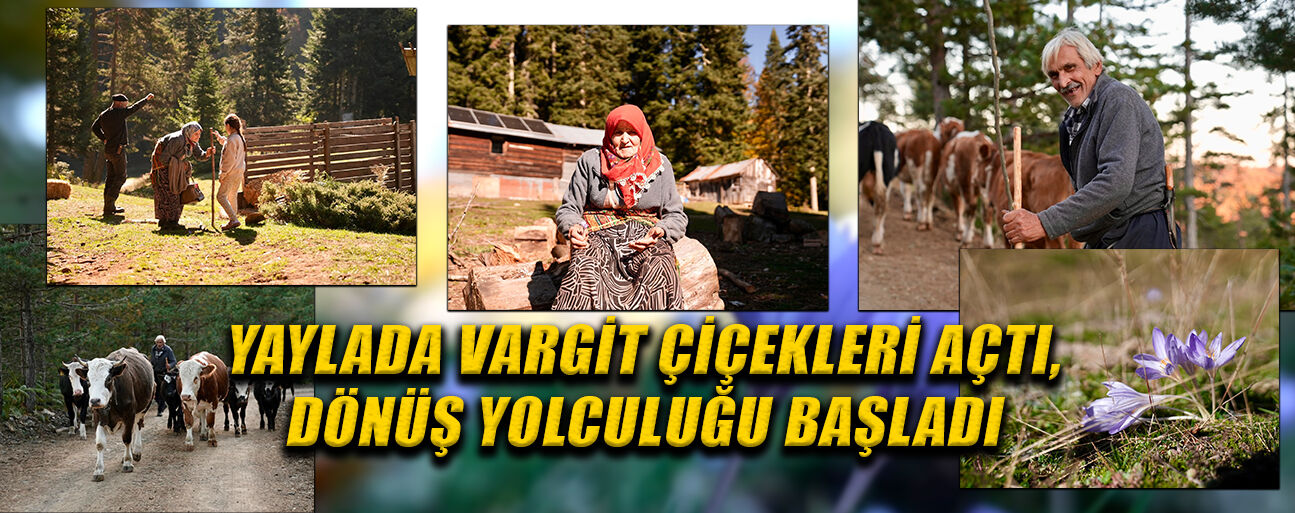 YAYLACILAR, YENİDEN KÖYLERİNE DÖNÜYOR