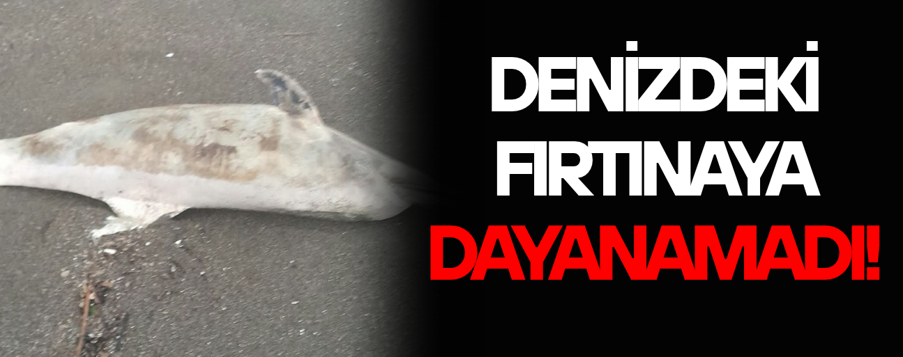 AKÇAKOCA’DA ÖLÜ YUNUS KIYIYA VURDU