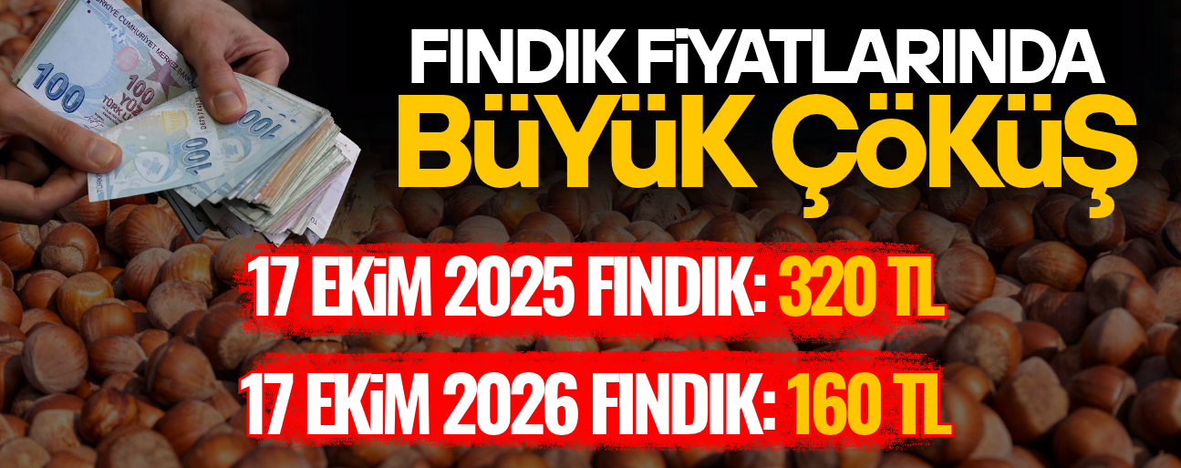 1 YILDA, 1 TON FINDIKTA 160 BİN TL'LİK FARK OLUŞTU
