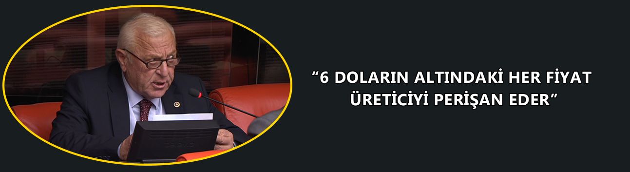 “6 DOLARIN ALTINDAKİ HER FİYAT ÜRETİCİYİ PERİŞAN EDER”
