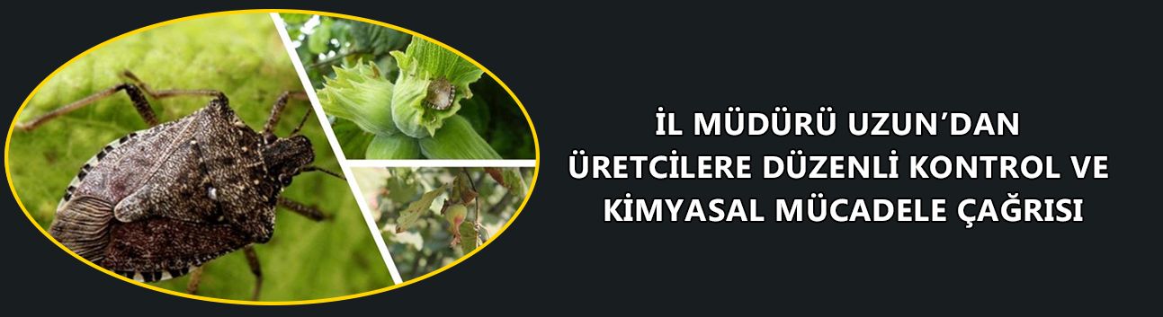 İL MÜDÜRÜ UZUN’DAN ÜRETCİLERE DÜZENLİ KONTROL VE KİMYASAL MÜCADELE ÇAĞRISI