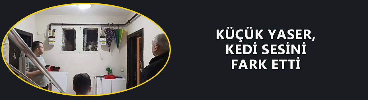 KEDİYİ DÜŞTÜĞÜ YERDEN KURTARDILAR