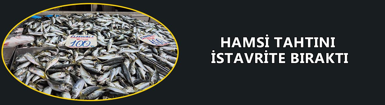 “İNSANLAR HAMSİYE DOYDU”